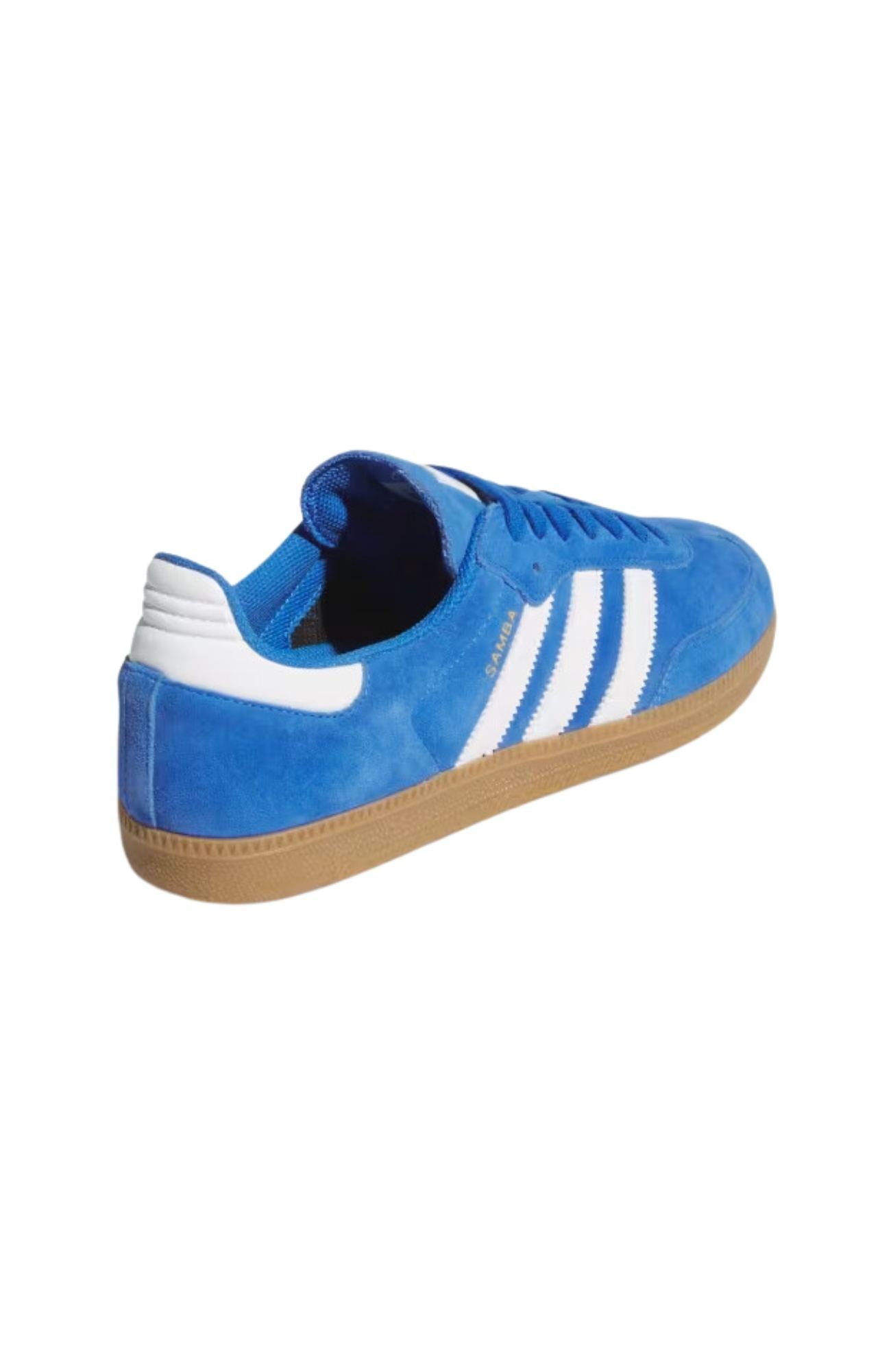 Samba Adv Blue Bird White