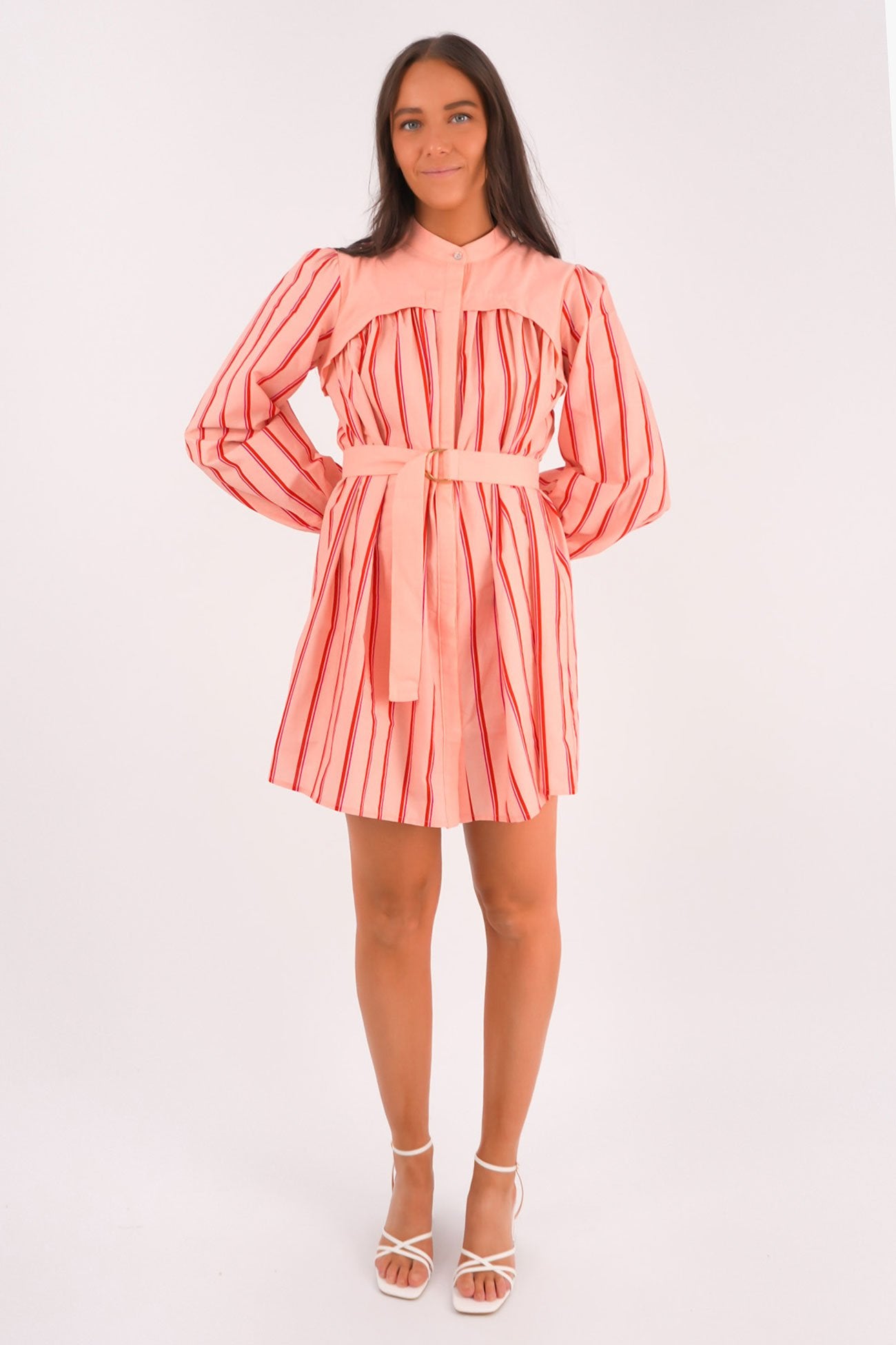 Mae Mini Dress Pink Stripe