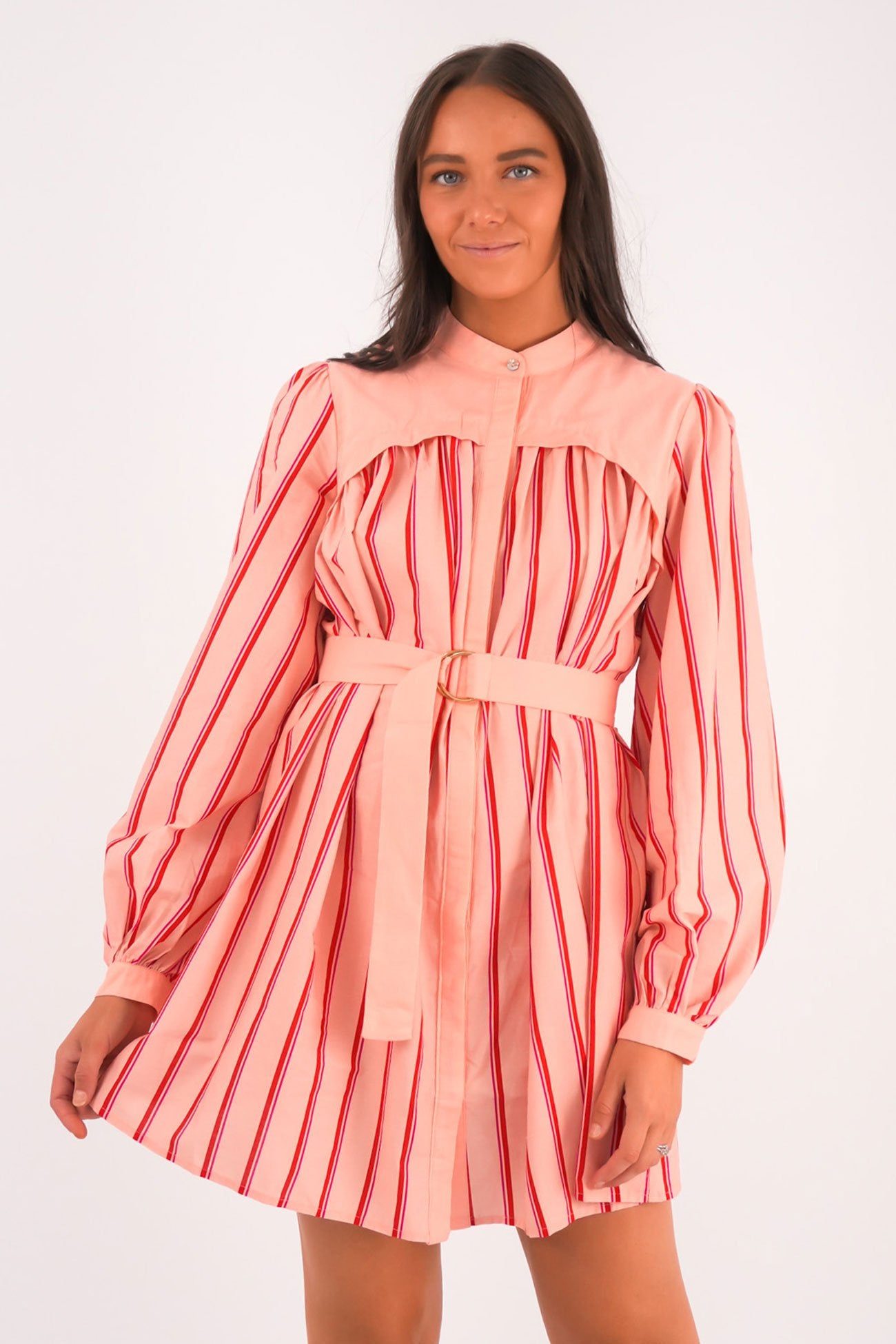 Mae Mini Dress Pink Stripe