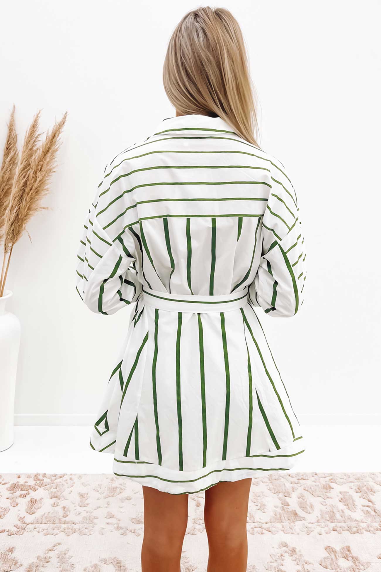 Bartley Mini Dress Green Stripe