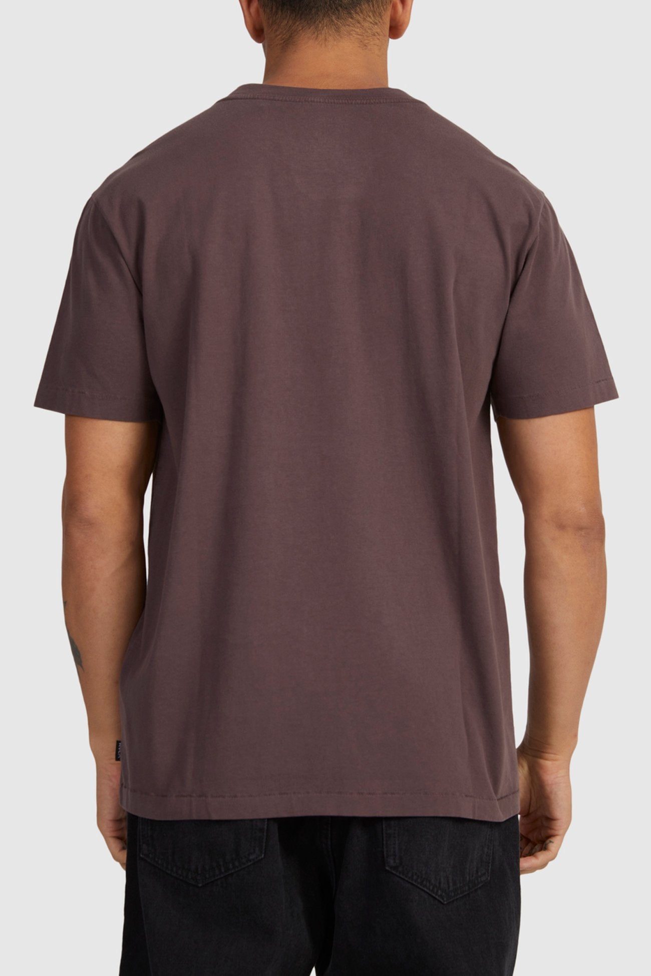 Big RVCA Washed Short Sleeve Tee New Plum