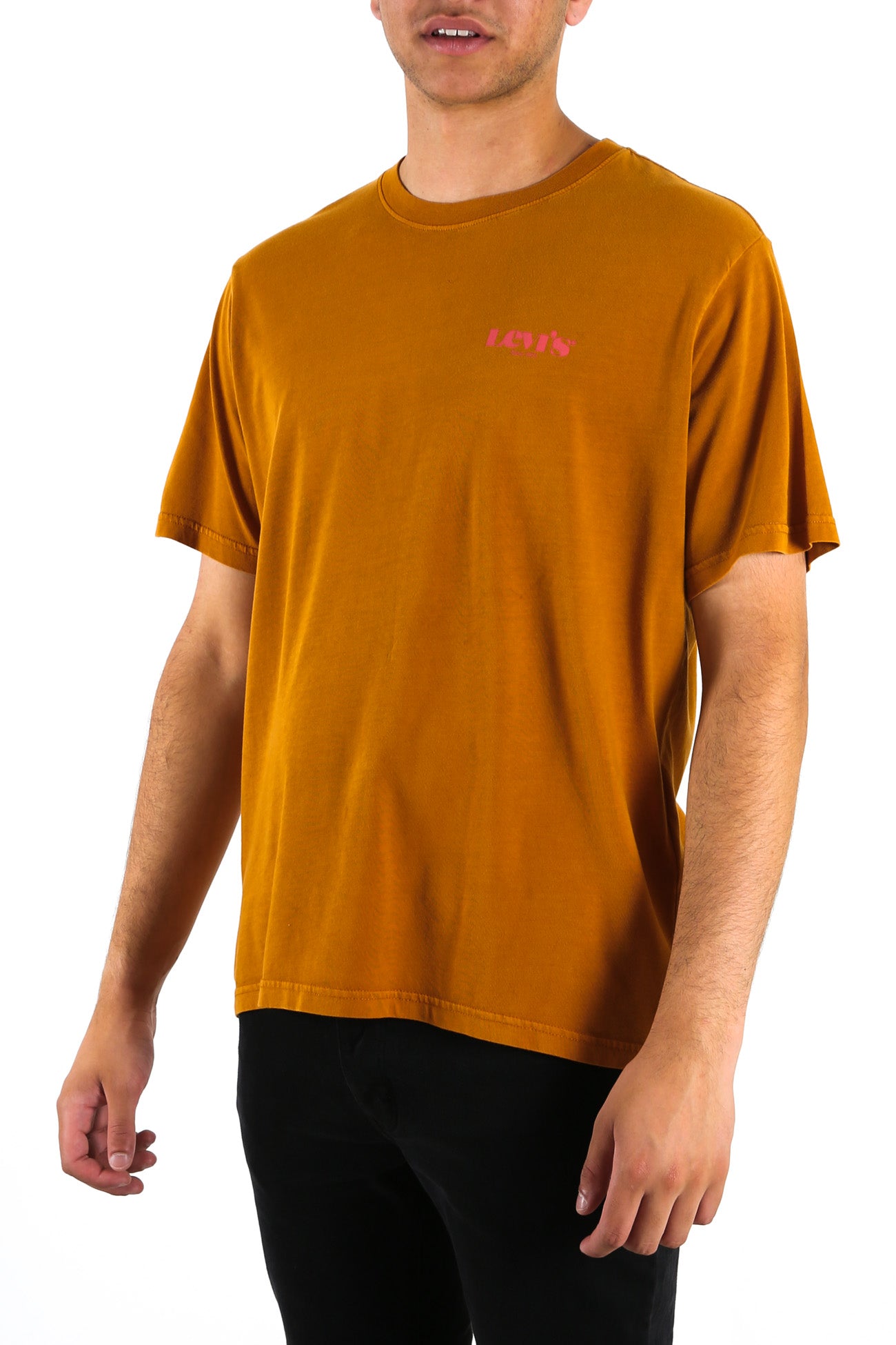 Relaxed Fit Short Sleeve Tee Sorrel Brown