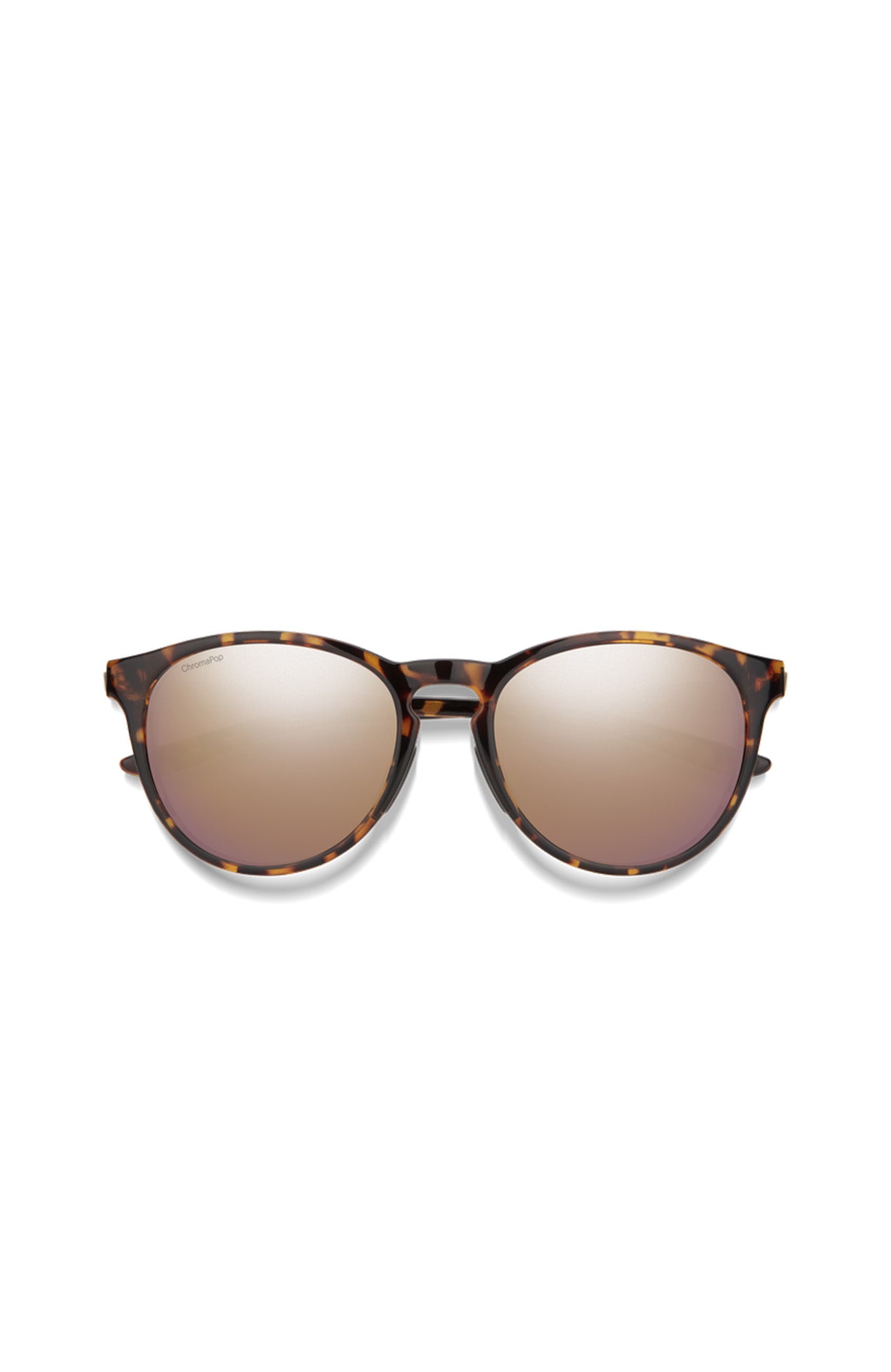 Wander Tortoise // ChromaPop Polarized Brown Lens