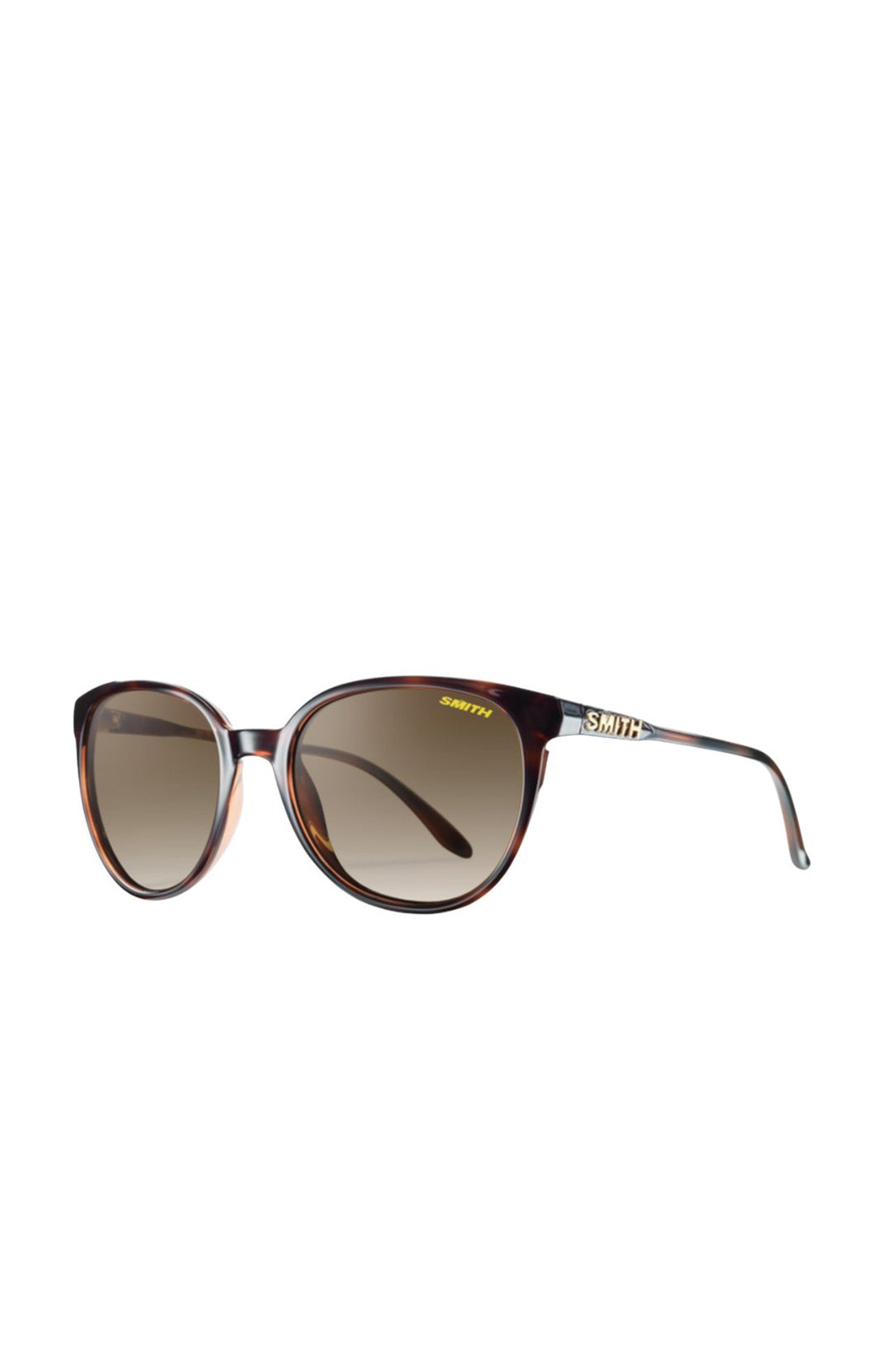 Cheetah Tortoise // Polarized Brown Gradient