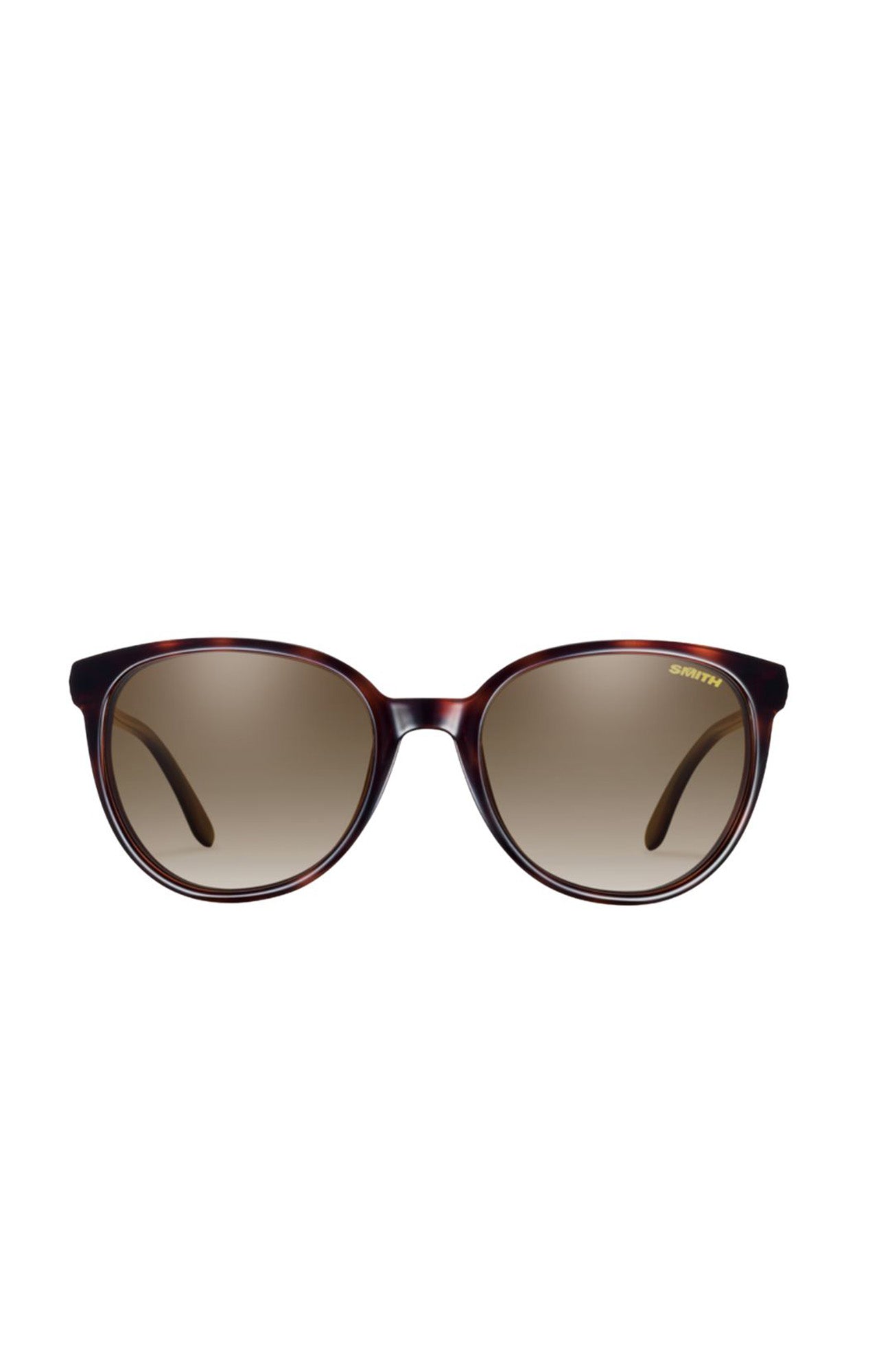 Cheetah Tortoise // Polarized Brown Gradient