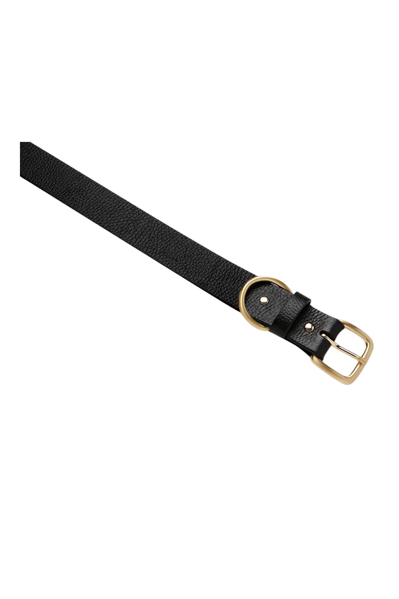 Disarm Belt Black Gold