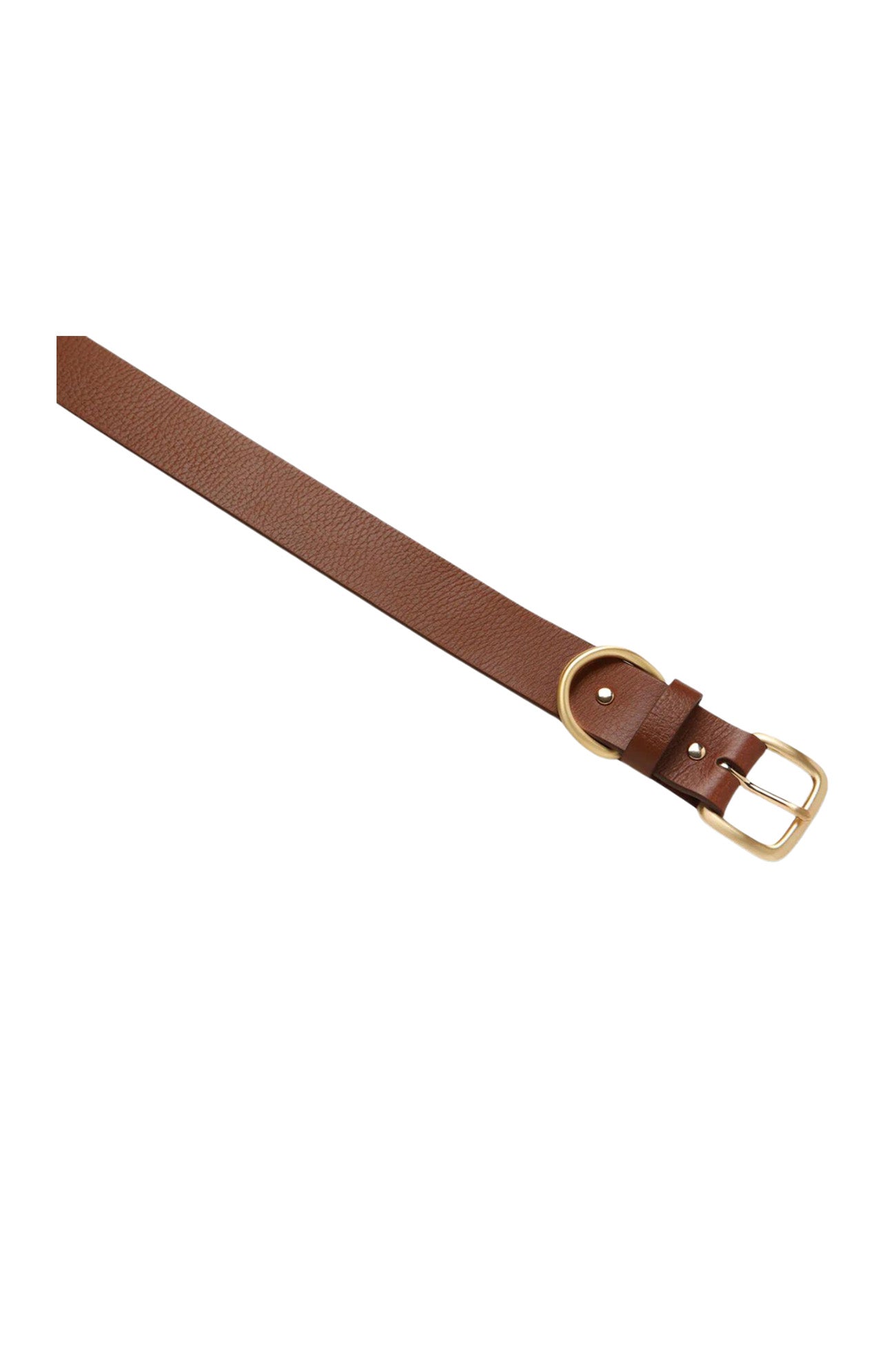 Disarm Belt Tan Gold