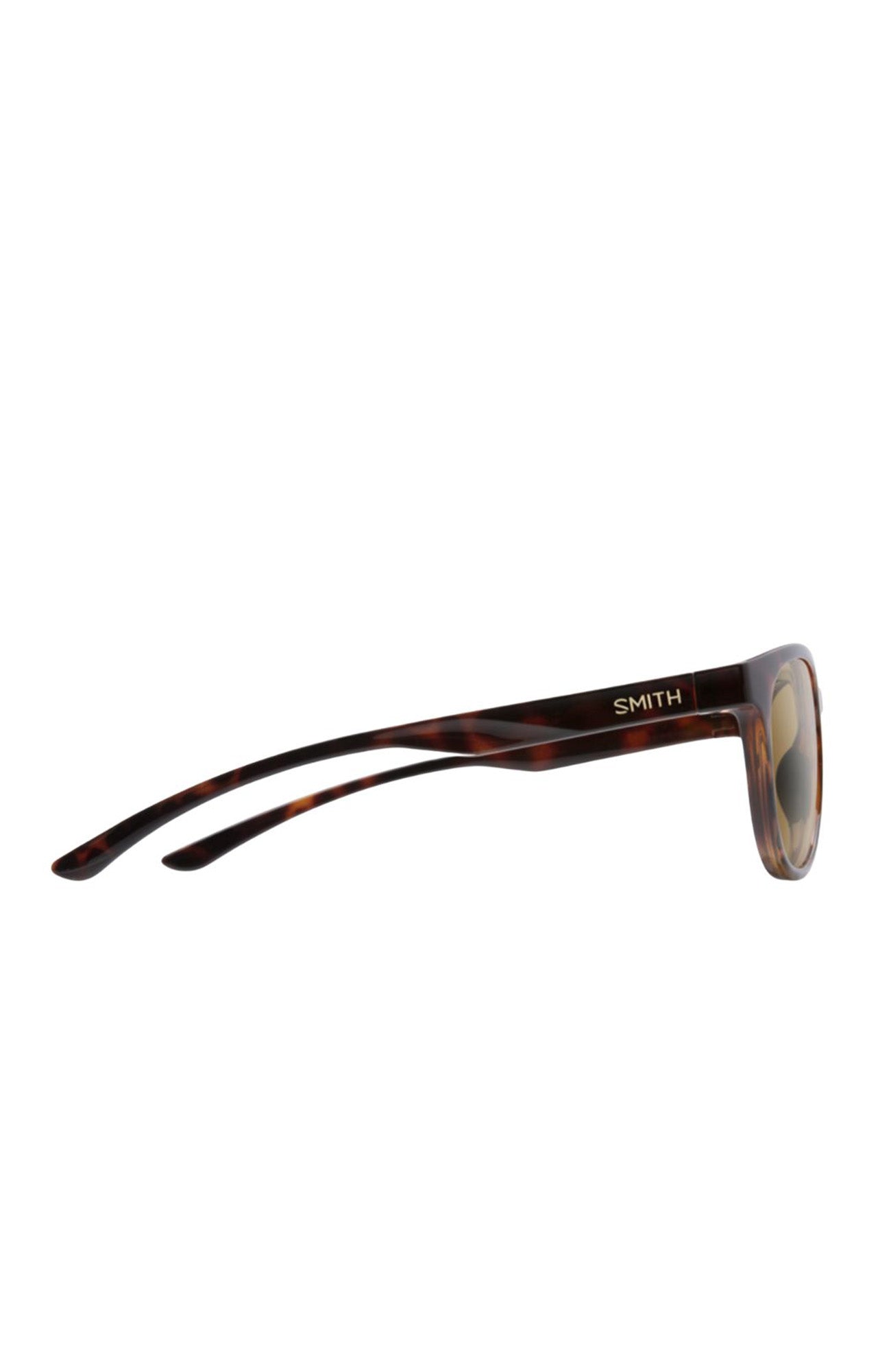 Eastbank Tortoise // Brown