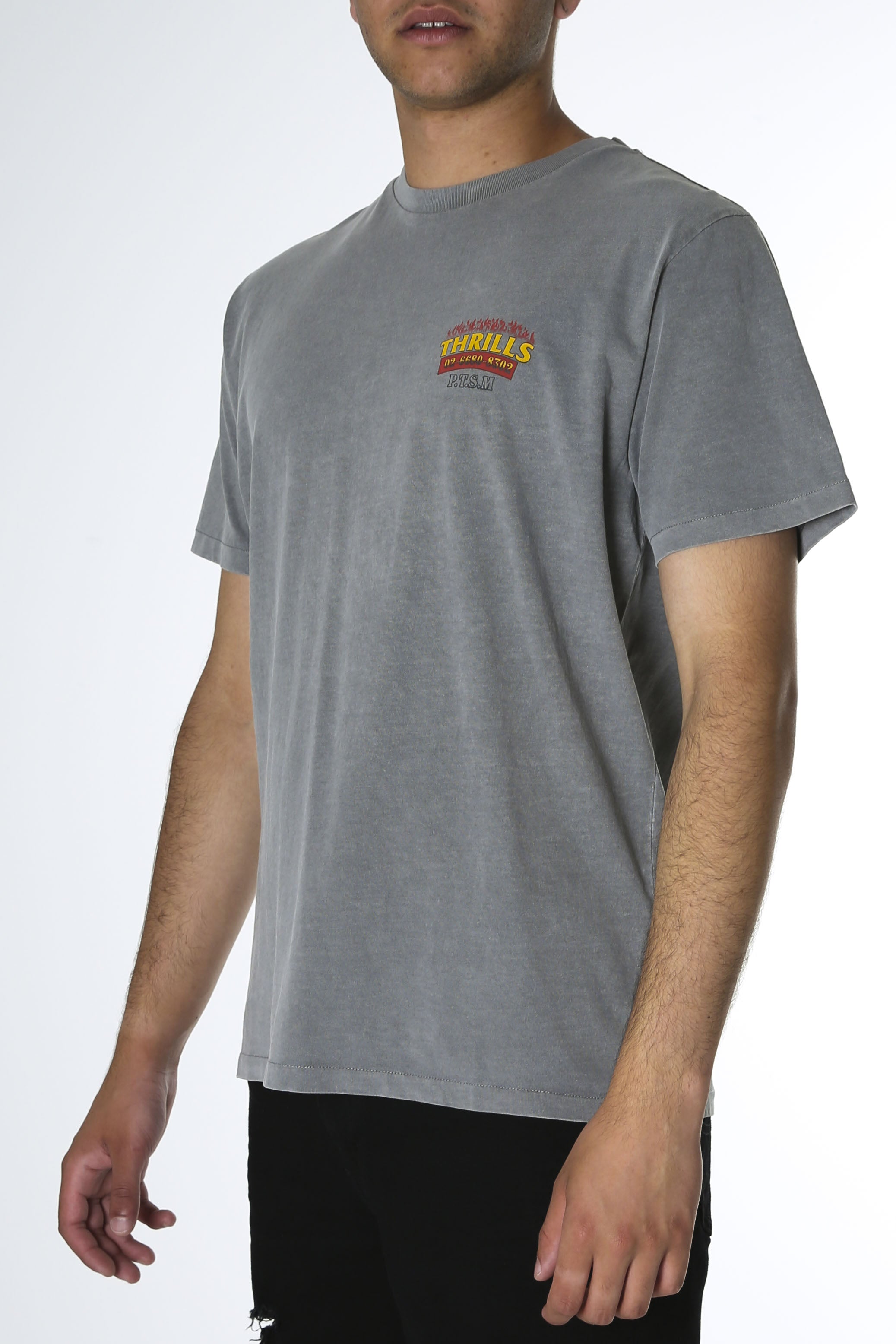 Wings Of Fire Merch Fit Tee Washed Grey