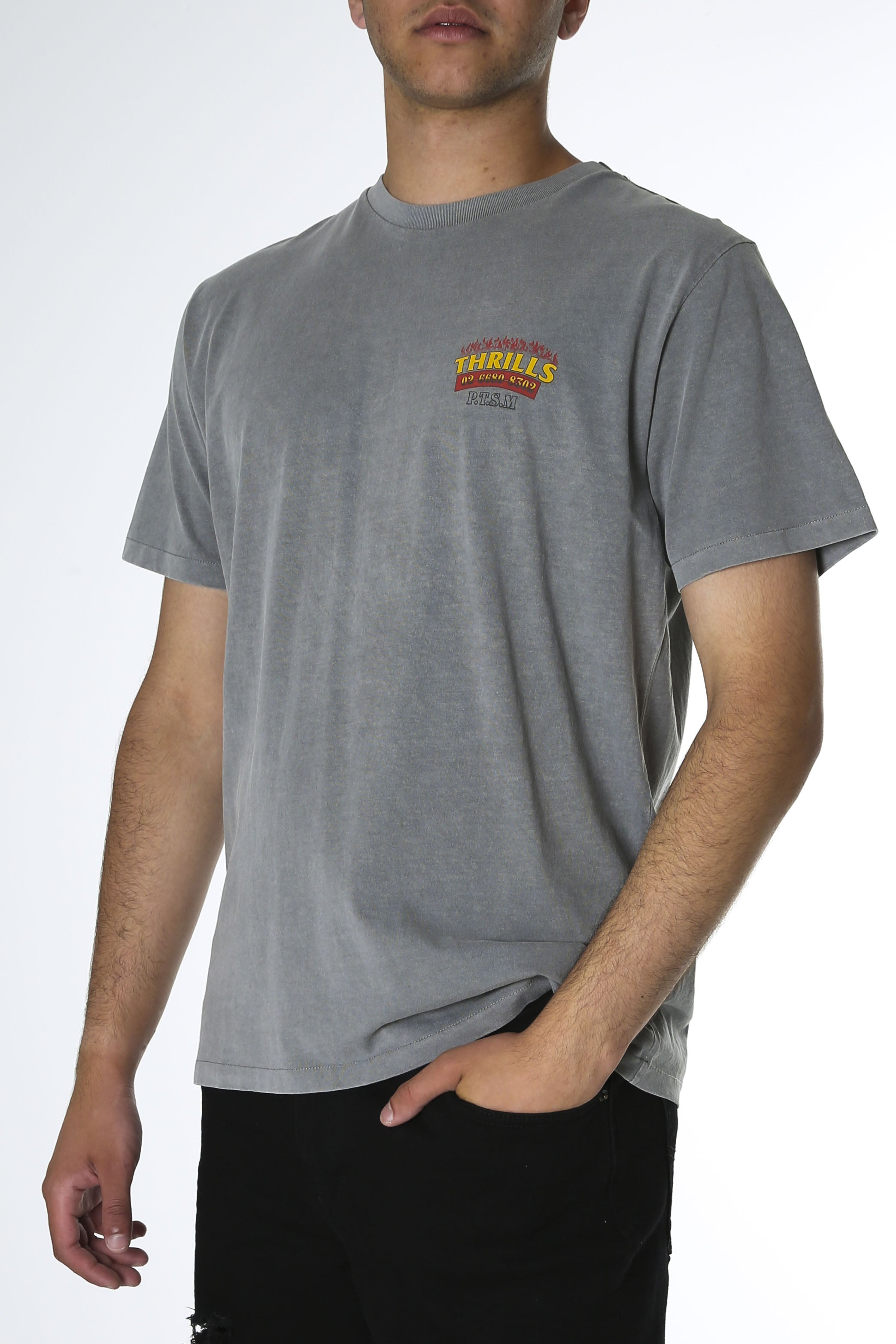 Wings Of Fire Merch Fit Tee Washed Grey