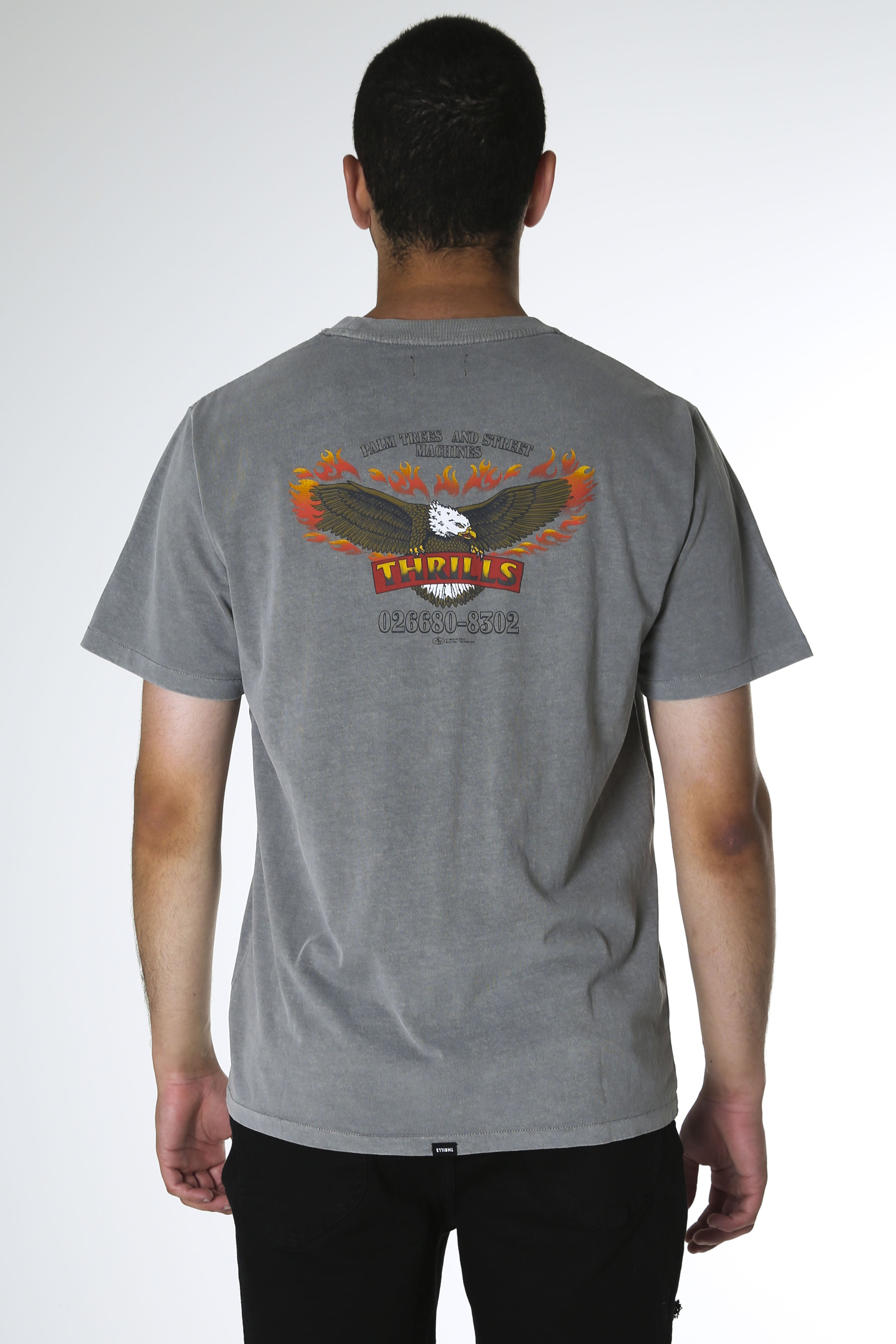 Wings Of Fire Merch Fit Tee Washed Grey